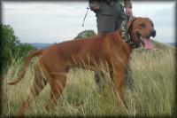 /album/rodinka/a4-9-08lexi-053-jpg/